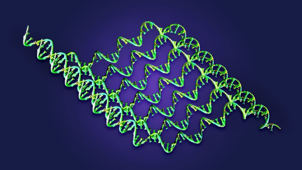 What’s in Merck and Moderna’s cancer vaccine algorithm?