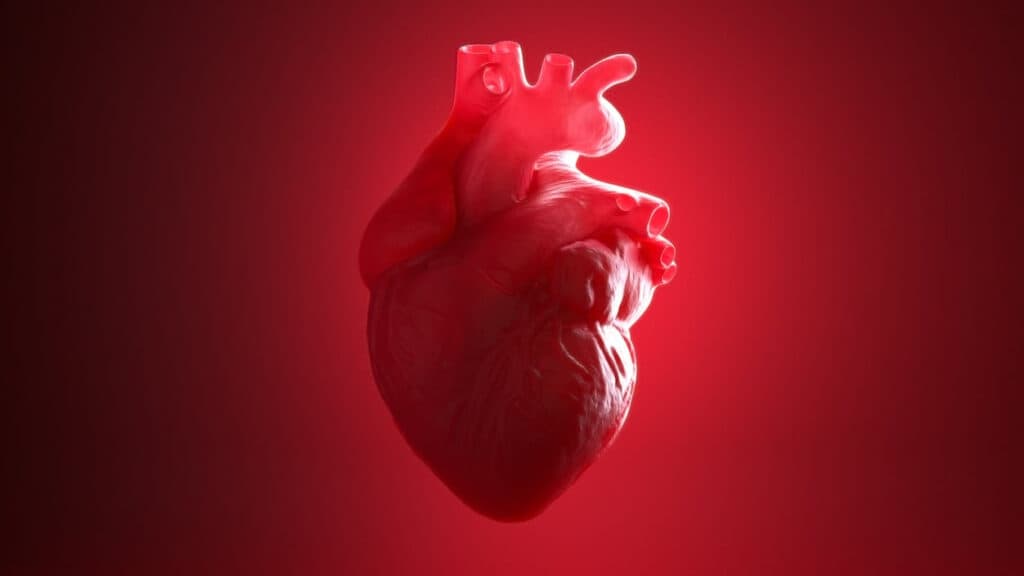 STAT+: Cytokinetics drug Myqorzo meets twin efficacy goals in study of genetic heart disease