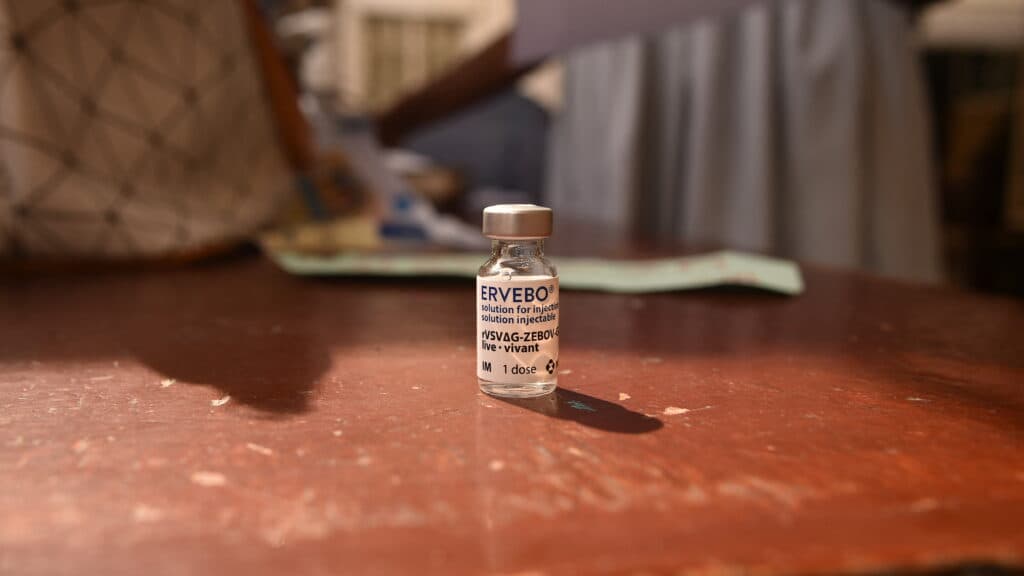 Which vaccines will curb the Ebola outbreak? WHO debates