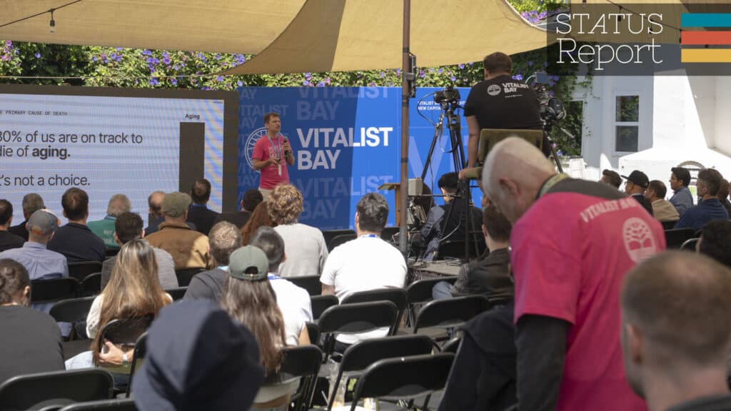 What happens at a longevity festival?