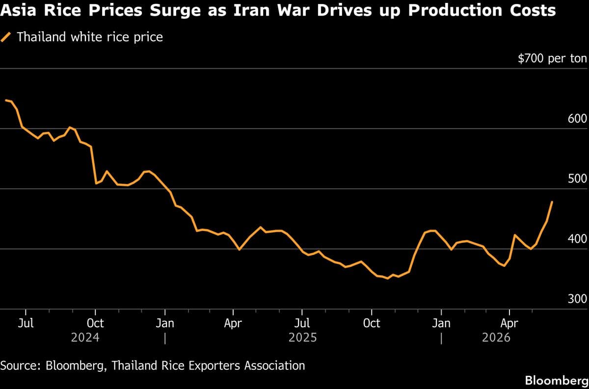 Asia Rice Surges 20% in May as War and Weather Threaten Output