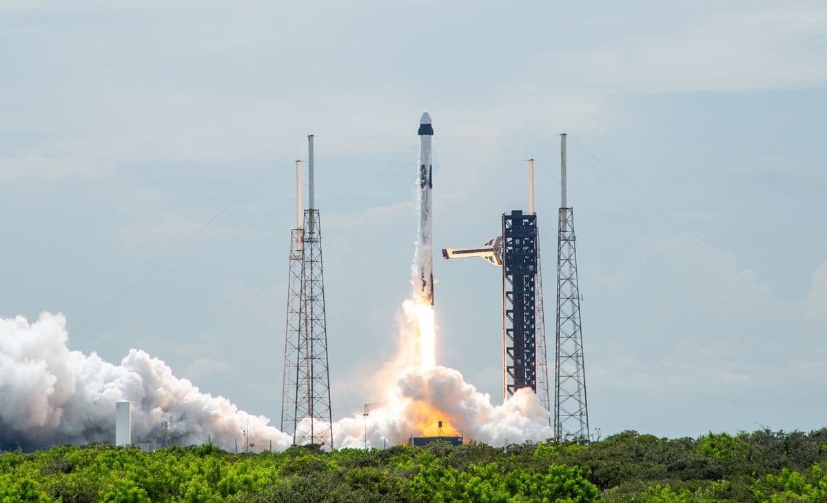 Musk Stock Fans Say ‘The More, The Better’ in SpaceX IPO Frenzy