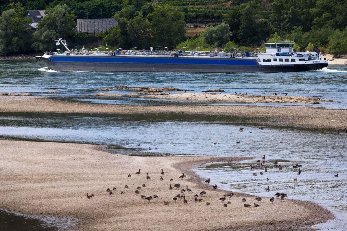 Oil Barges Forced to Carry Less Fuel as Rhine Water Level Drops