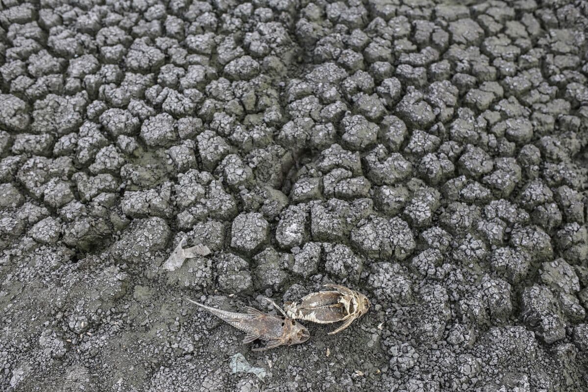 Below-Average Monsoon May Delay Recovery in India Consumer Demand