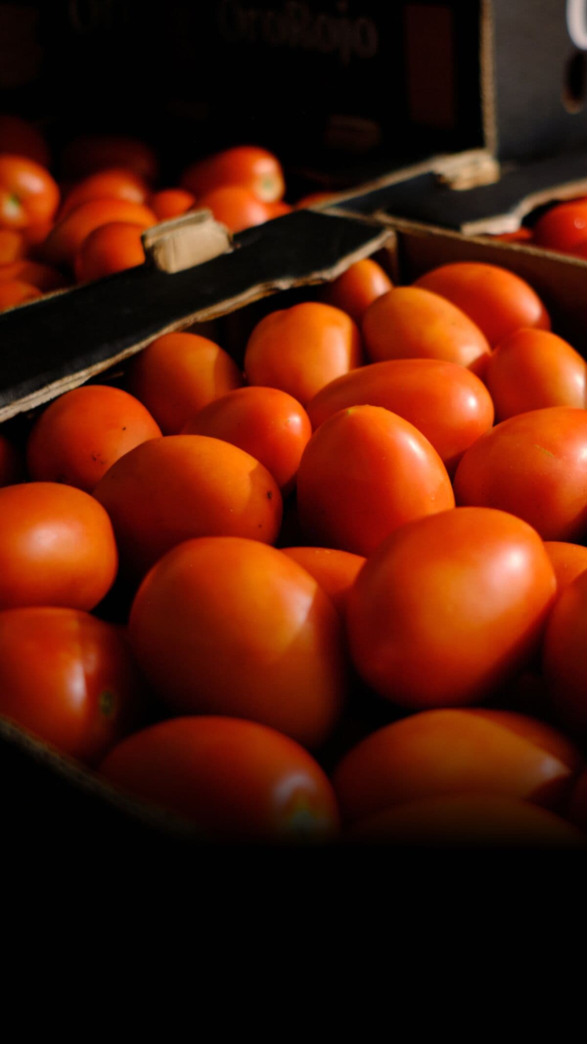 Why Tomatoes Are the Most Expensive They’ve Been in Four Decades