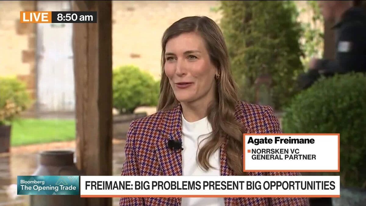 Freimane on SpaceX, Renewables, Energy Opportunities