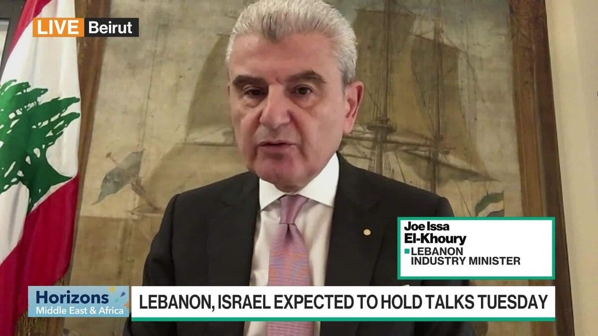 Lebanon Min of Industry: War Imposed by Hezbollah