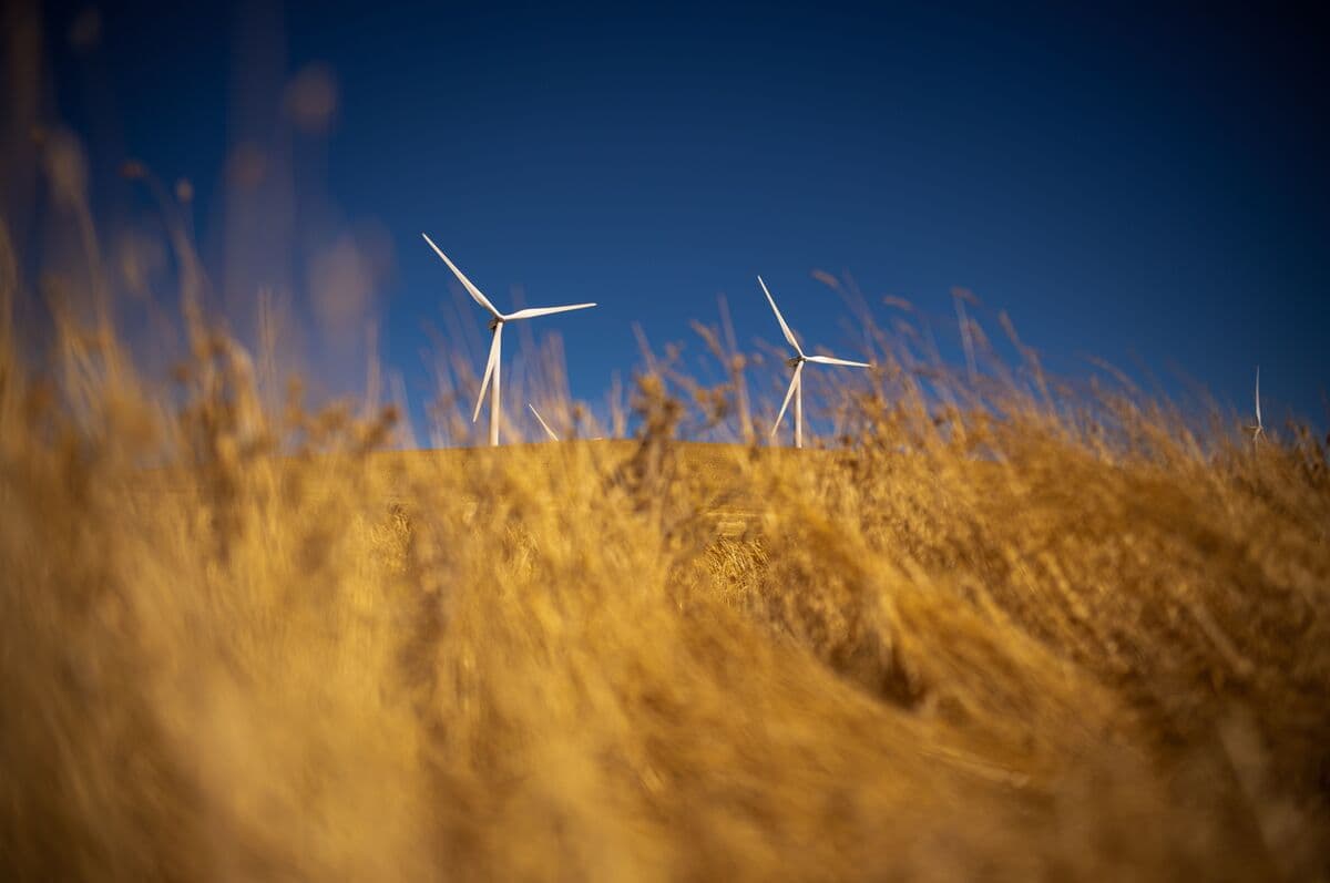 Iran War Fuels Interest in Renewables, Multilateral Lender Says