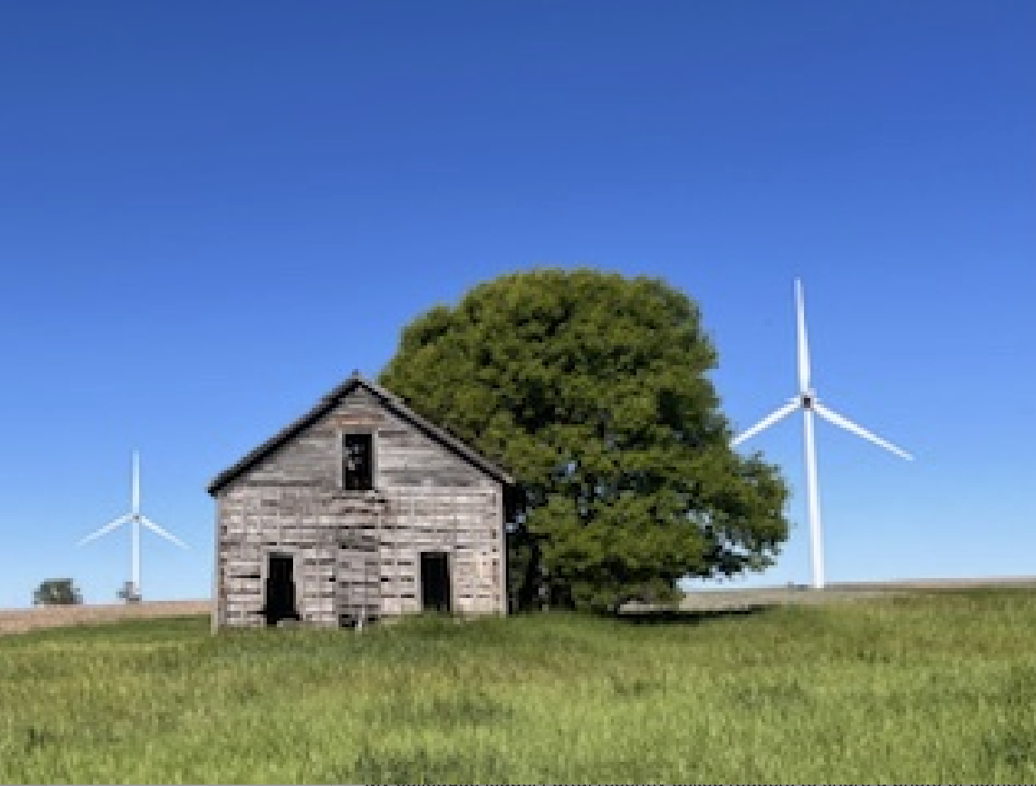 How Some People Became So Averse to Hype