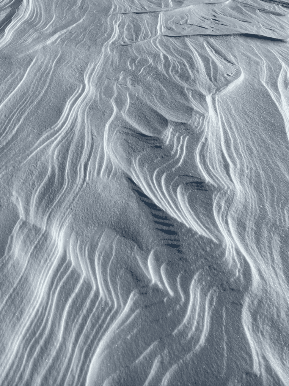 The Thrill of Childhood Rituals