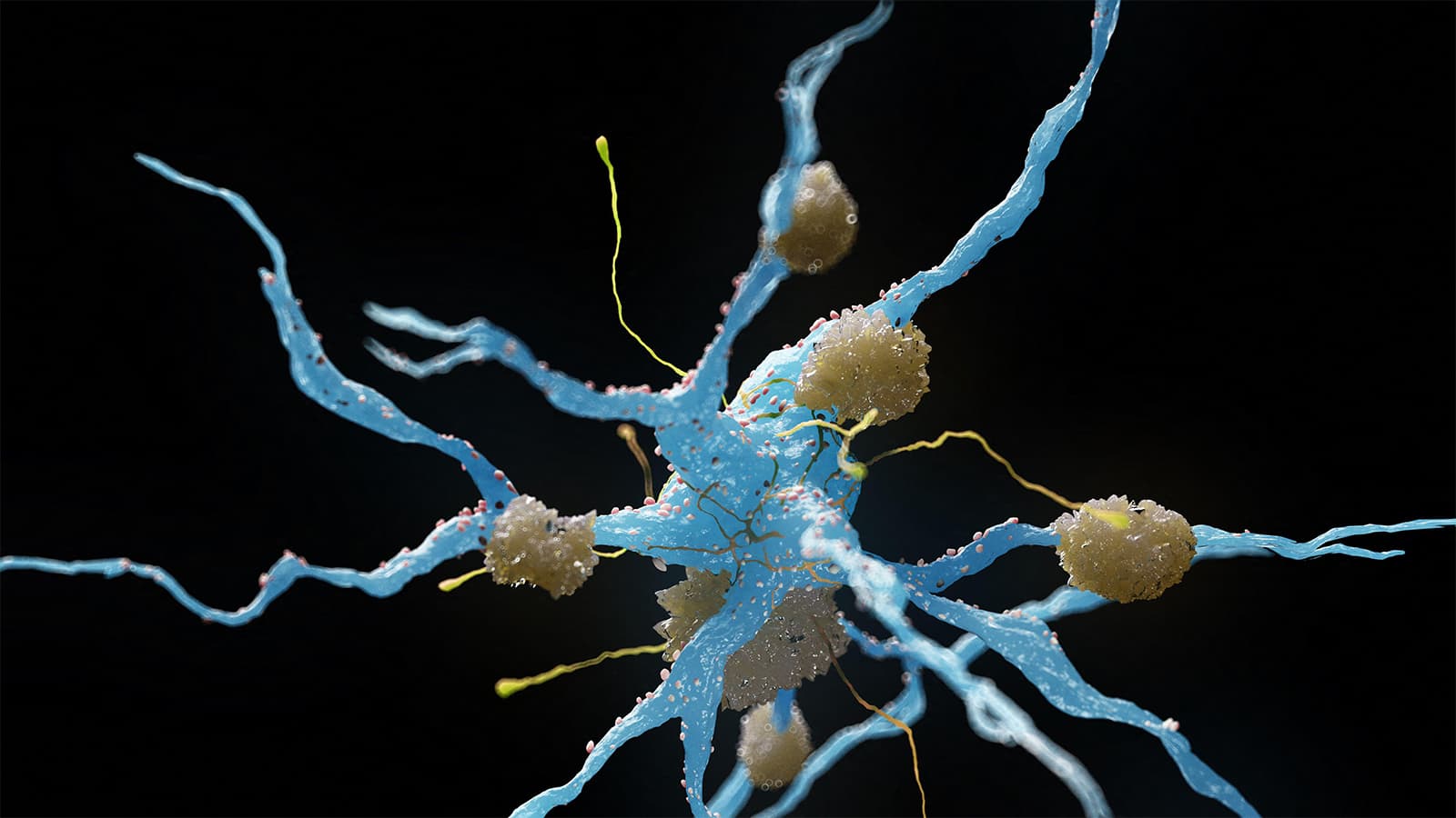 Study Questions Methods Used in Alzheimer's Drug Analysis
