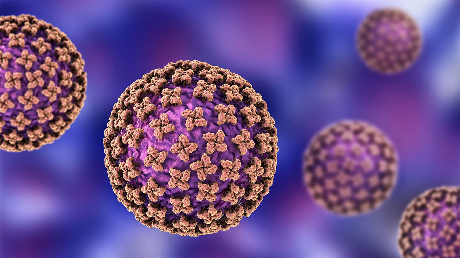More People Being Monitored at Home for Potential Hantavirus Exposure