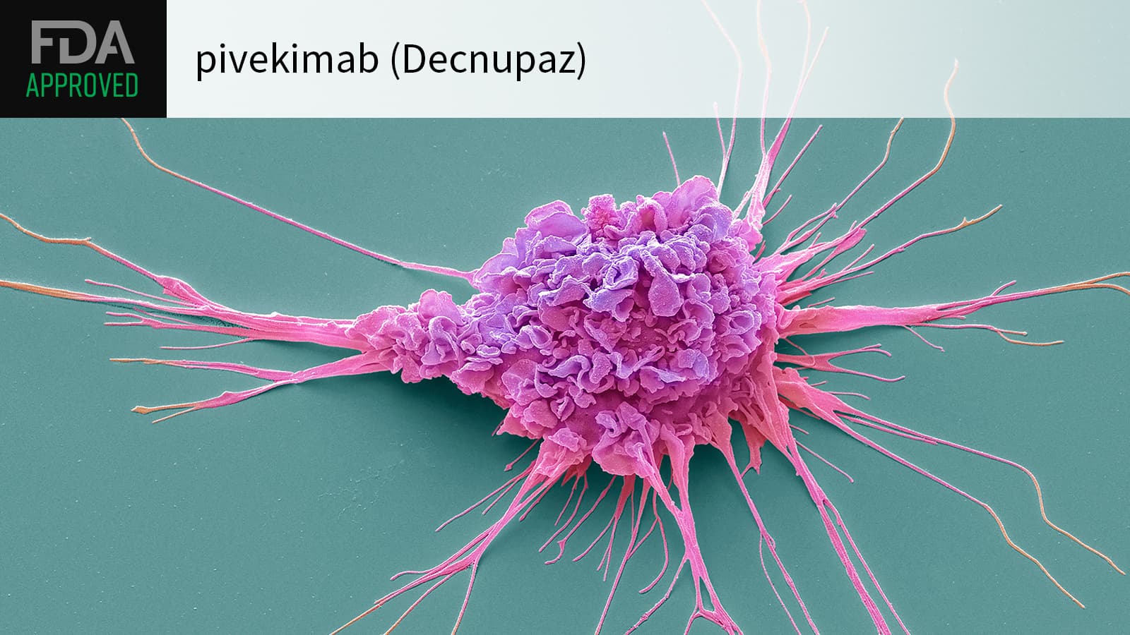 Decnupaz Approved for Rare Blood Cancer
