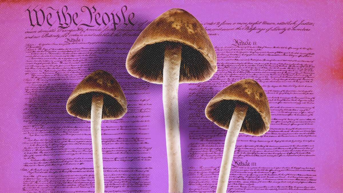 Trump's Embrace of Psychedelic Therapy Leaves Most Users on the Wrong Side of the Law