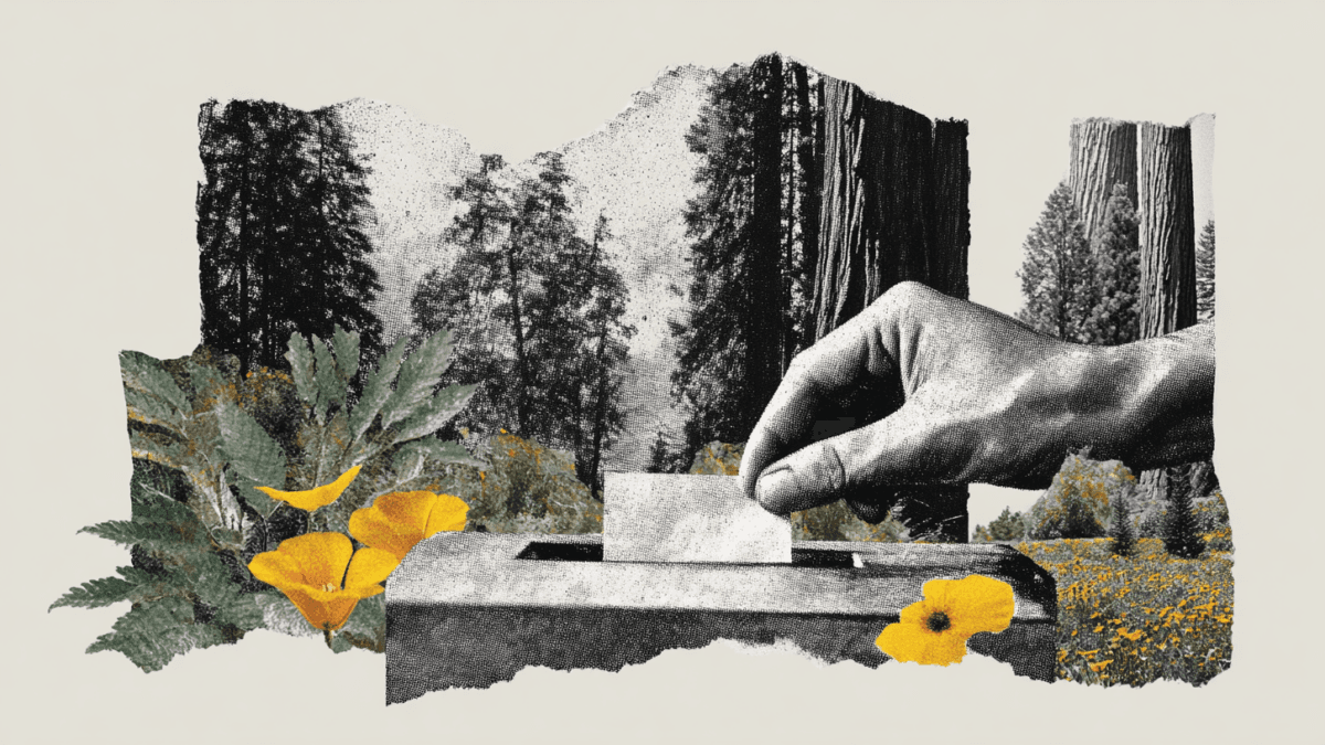 The People vs. CEQA