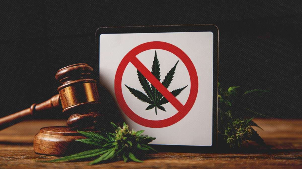 Mitch McConnell's Hemp Ban Betrays the Industry He Helped Create
