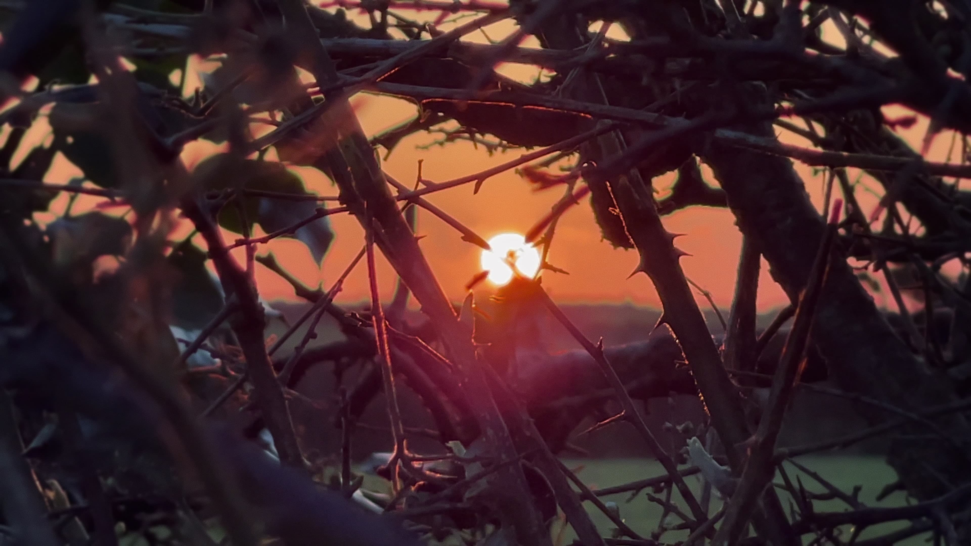 Kier-La Janisse Expands Her Spectacular Optical Label Into Distribution