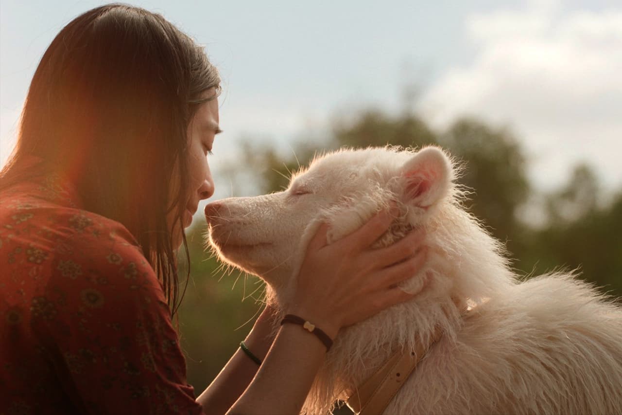 Thai Hit Drama ‘Gohan’ Set For China Release As Busy Summer Schedule Takes Shape