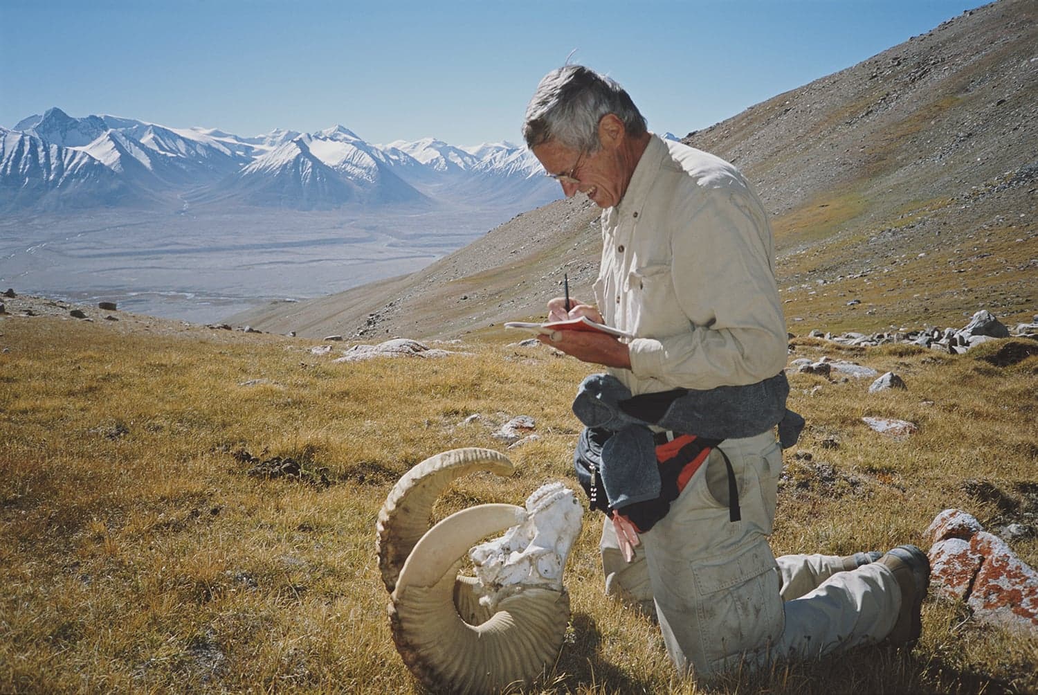 A Foreign Correspondent of Animal Kingdoms