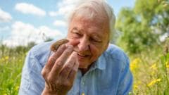 Quiz: Which facial feature almost stopped Attenborough's TV career?