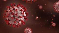 Africa summit in India postponed over Ebola outbreak fears