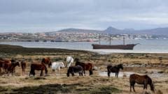 US looks to Falklands as opportunity for diplomatic pressure on UK