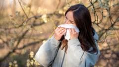 Hay fever misery does last longer - here is how to cope