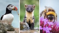 The 18 creatures in the running to be on the new banknotes