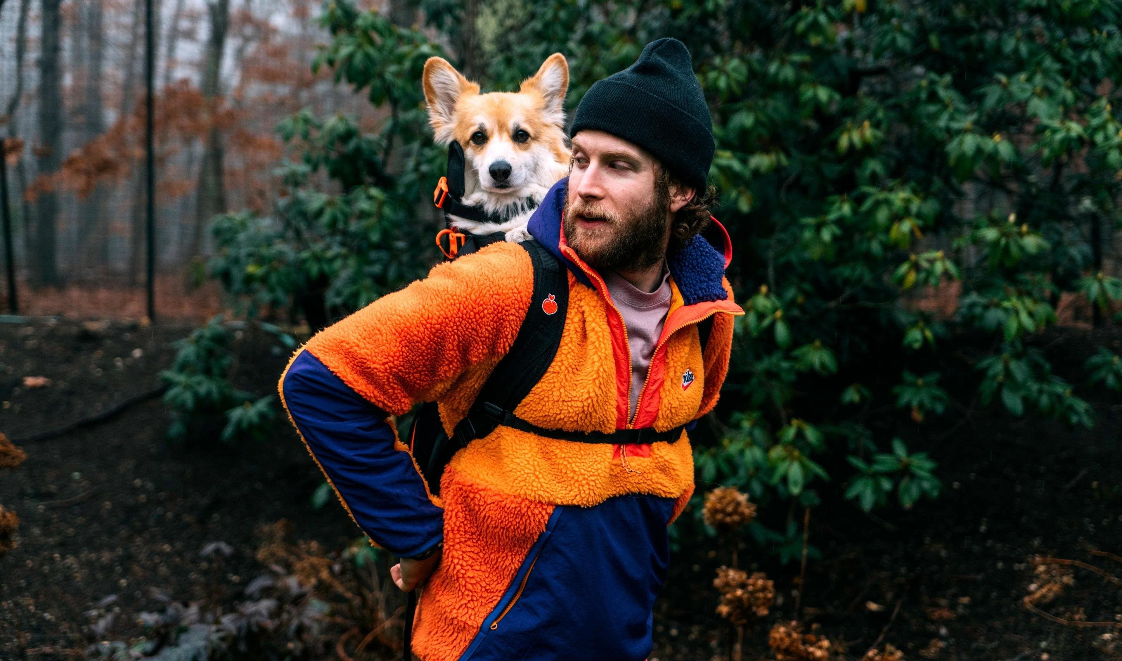 Taking Shelter Dogs On Backpack Rides Transformed Influencer ‘To My Core’