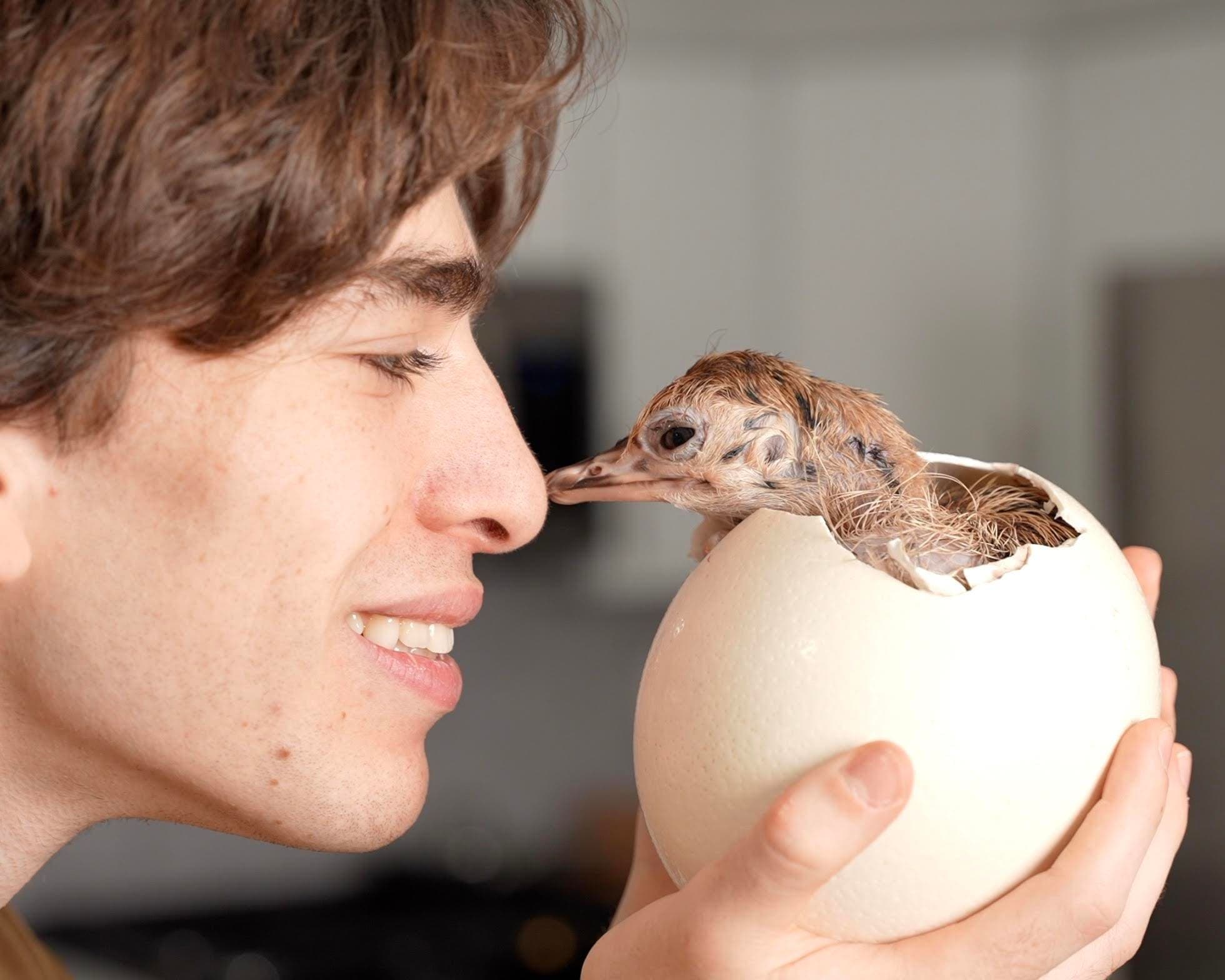 How A 21-Year-Old Creator Generated 600 Million Views With Just 12 Videos