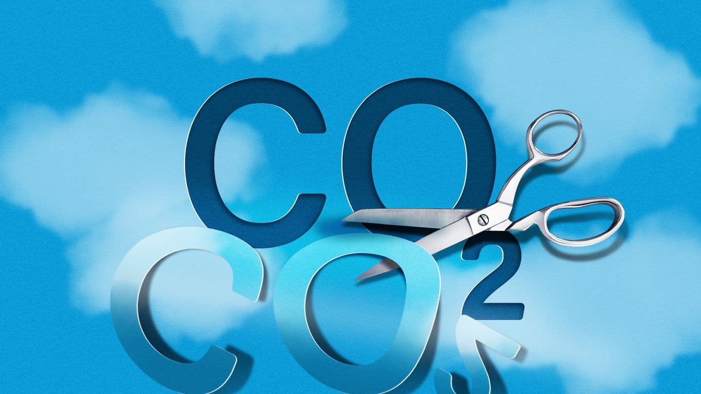 Exclusive: JPMorgan strikes carbon removal deal that doubles as wildfire prevention