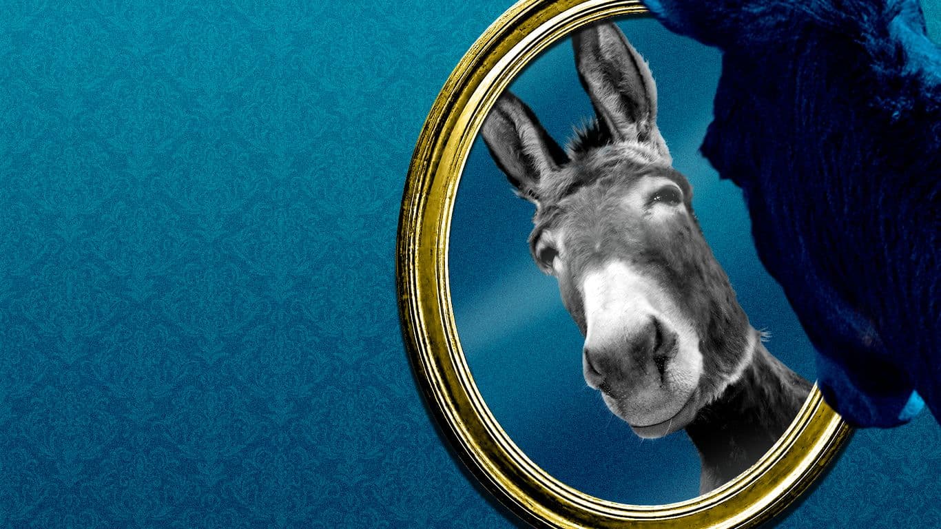 Democrats finally release 2024 election autopsy after criticism
