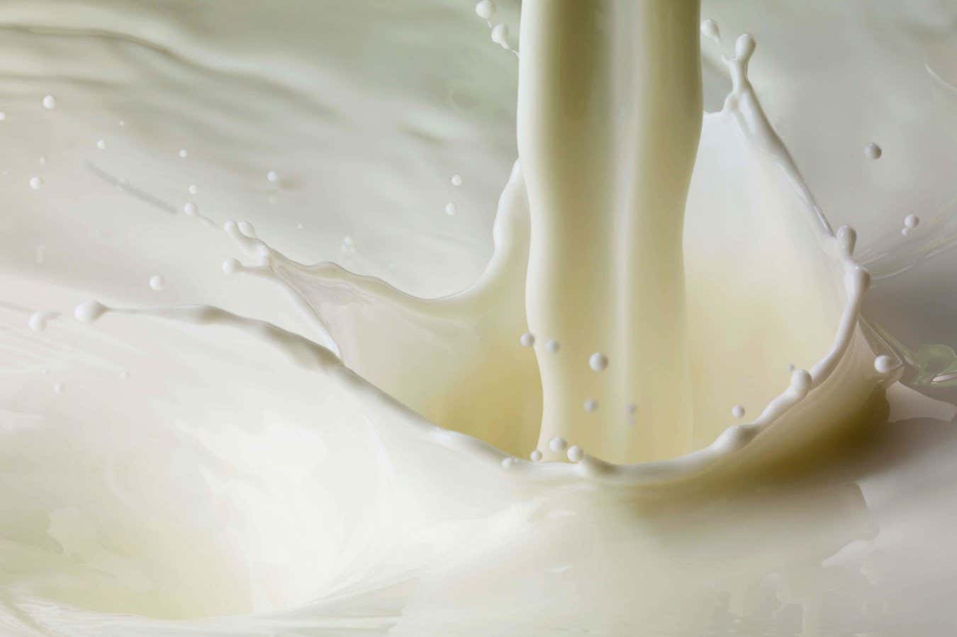 The weird physics of plant-based milks is only just coming to light