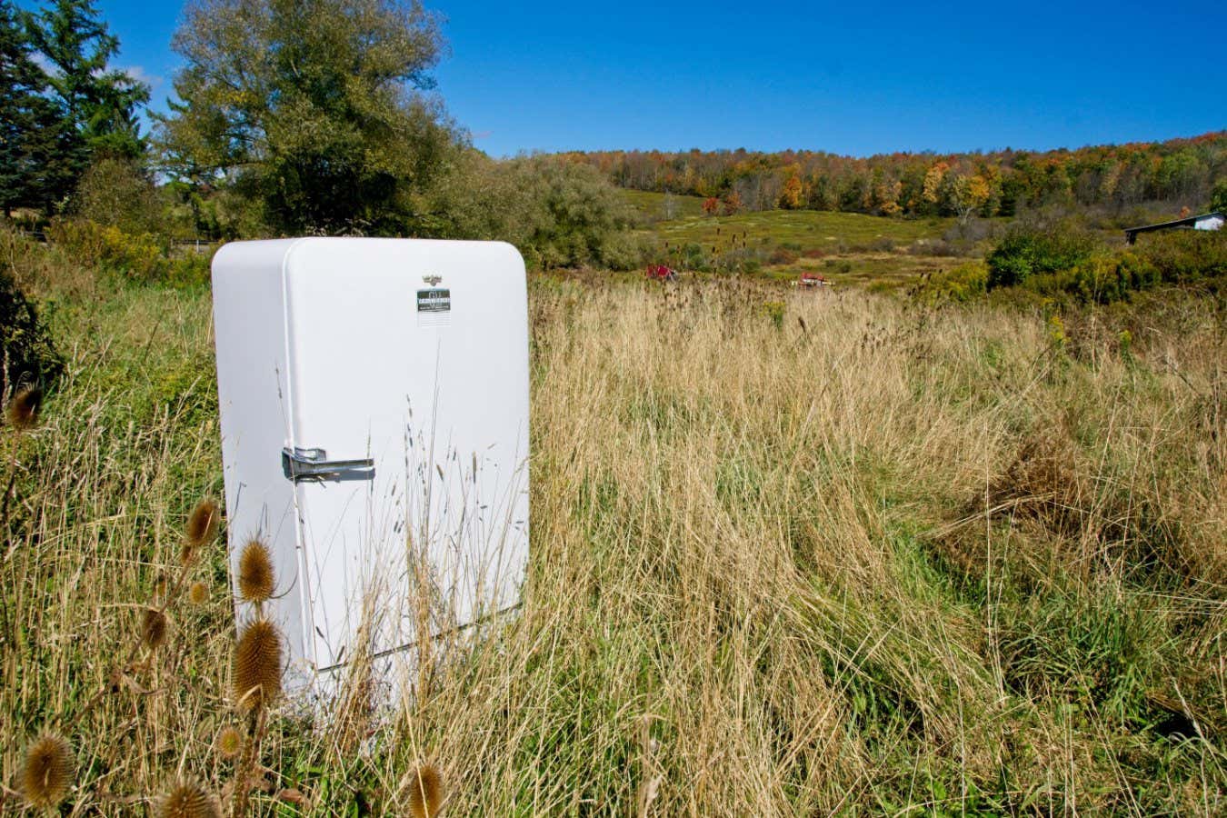 Why do particle physicists like spending time in fields?