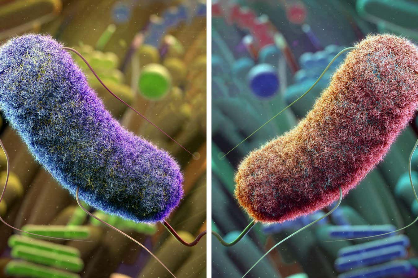 Mirror life: Scientists clash over threat of lab-engineered bacteria