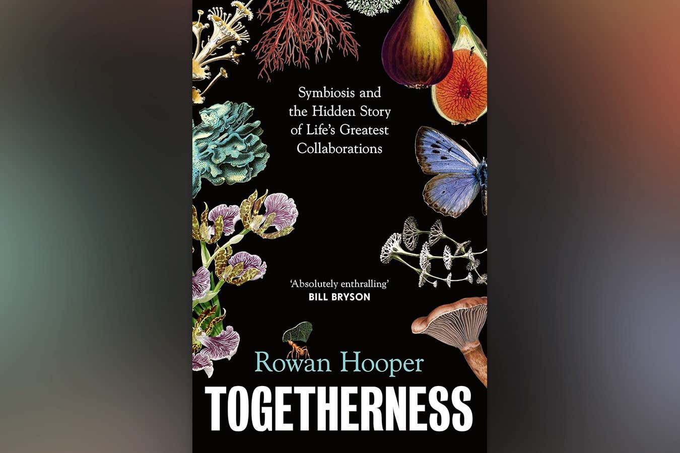 New Scientist recommends Togetherness, a radical new view of life