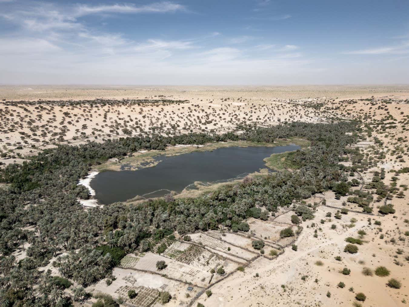 Striking photos show how sands are encroaching on oases in the Sahara