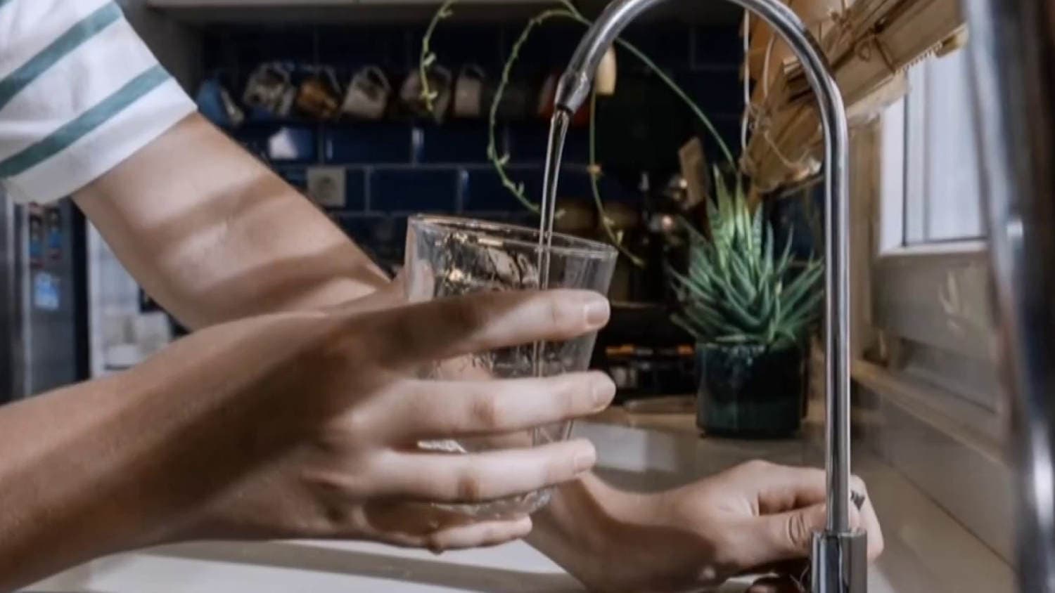 New study reveals no negative effects of fluoride on brain function