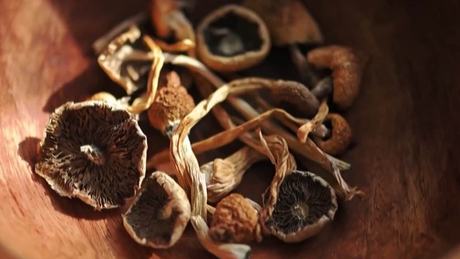 FDA grants quick review for 3 psychedelic drug trials