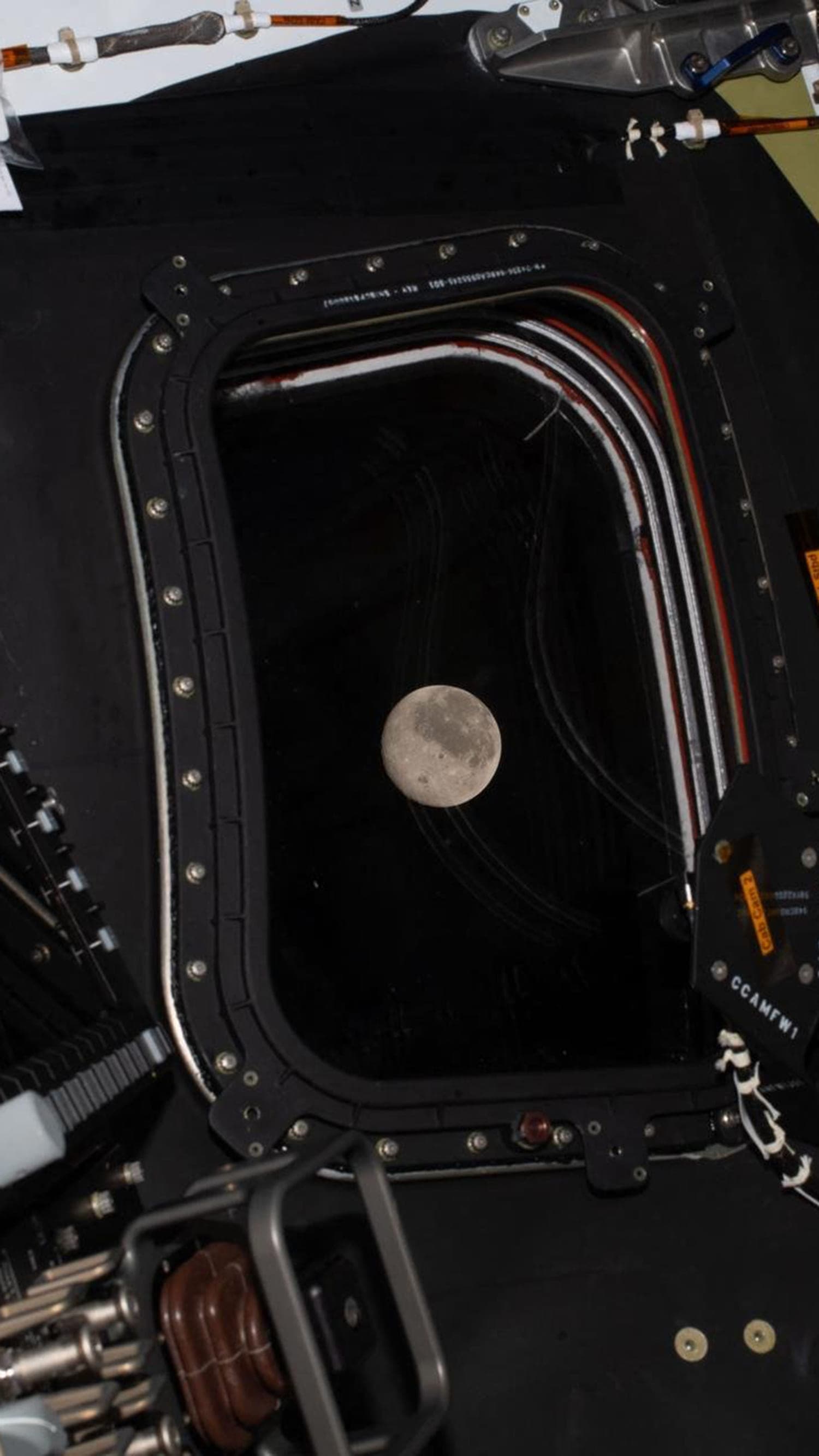 Artemis II crew go the farthest humans have ever gone