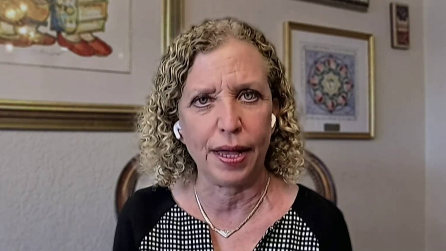 Debbie Wasserman Schultz defends her run in a majority-minority district as some Democrats push back