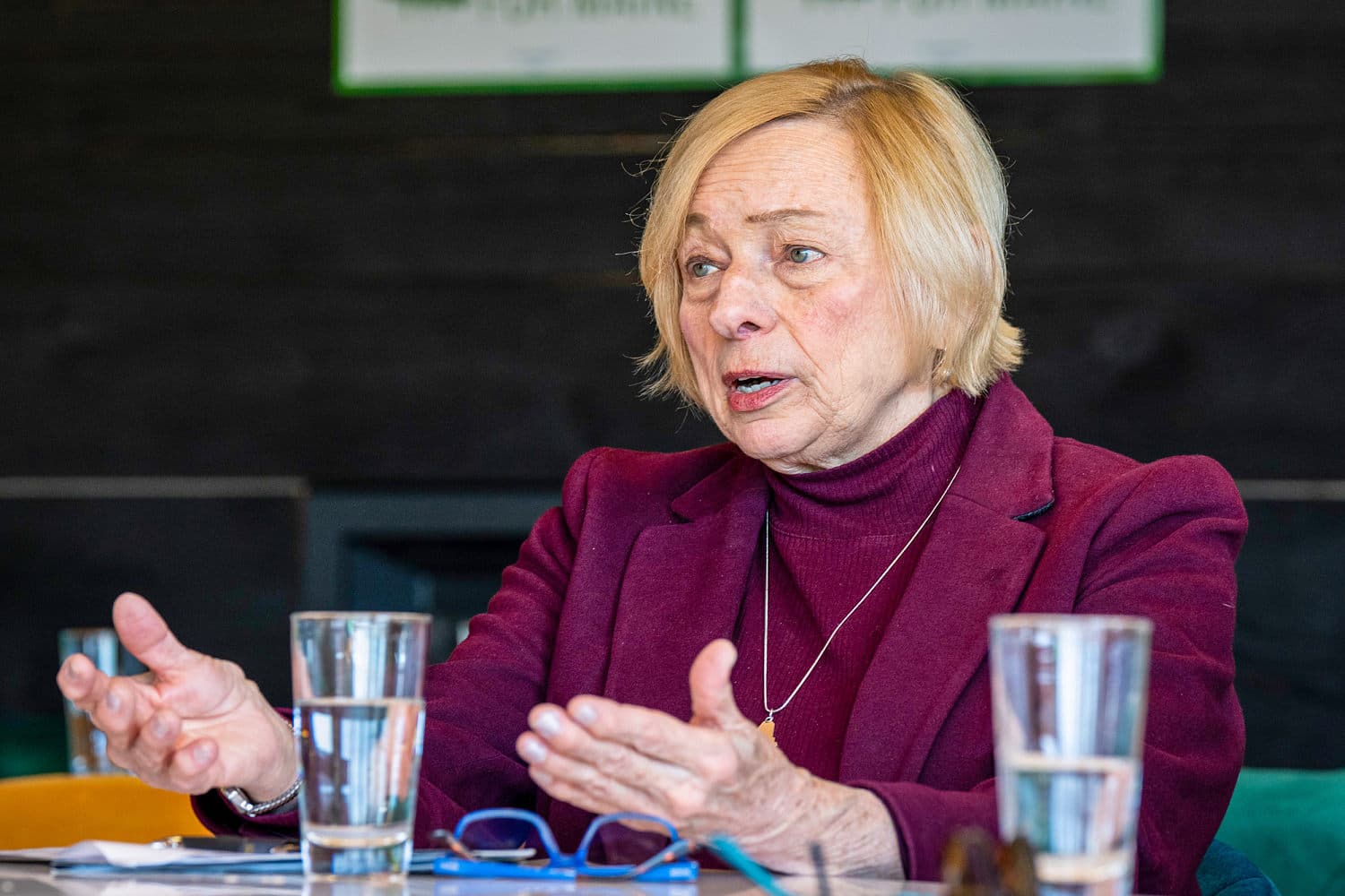 Maine Gov. Janet Mills vetoes ban on data center construction