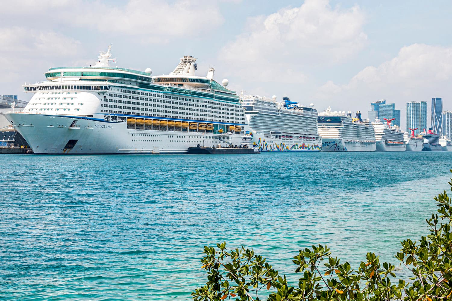 Covid-19 cruise passengers recall painful memories amid hantavirus outbreak