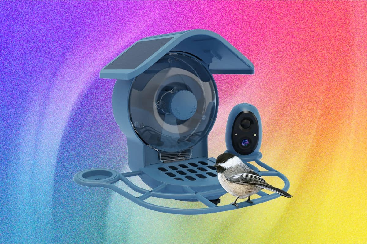 Coolfly Aura Review: More Angles, Fewer Advantages