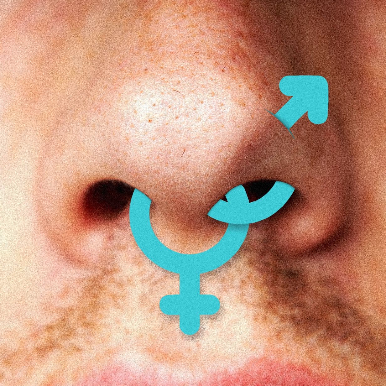 Sniffies’ Users Worry About a ‘Straightification’ of the Gay Hookup App