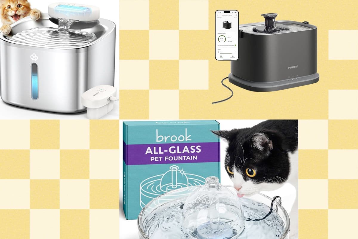 The Best Cat Water Fountains of 2026: Petlibro, Petkit, Oneisall