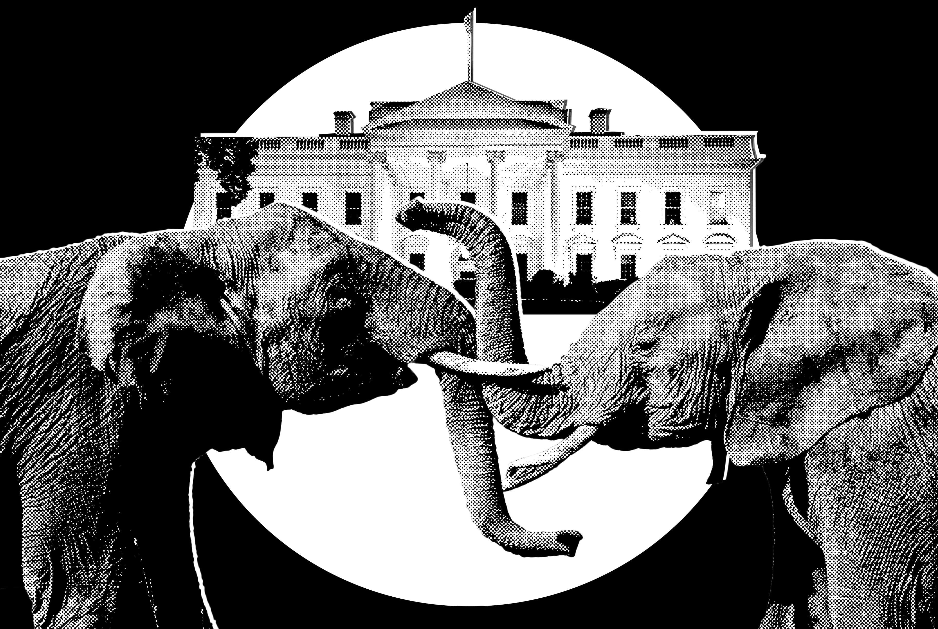 It’s Officially Election Season in Trumpworld