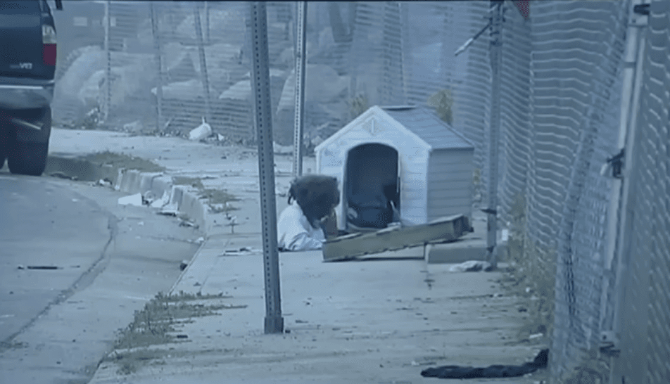 Woman living in squalor in an LA sewer is identified as mother of three — here’s what happened to her