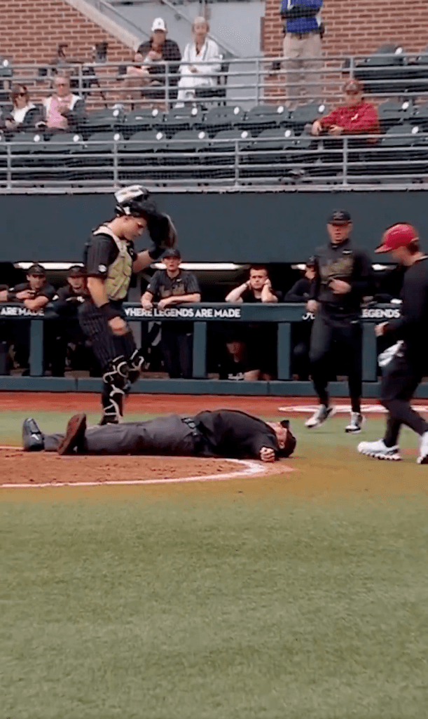 College baseball umpire knocked out of game by foul ball in terrifying scene