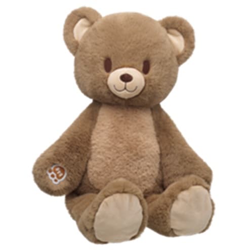 Build-A-Bear yanks 36,000 plush bears over choking risk after zipper hazard scare